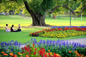 International Picnic Day